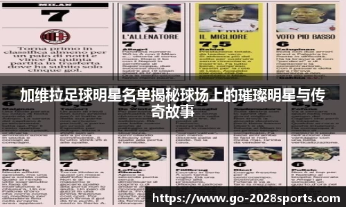 加维拉足球明星名单揭秘球场上的璀璨明星与传奇故事